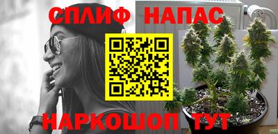 метадон Нарткала