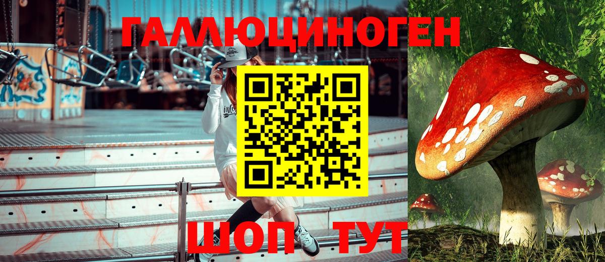 Псилоцибиновые грибы Psilocybe  Вход с VPN  Урюпинск 